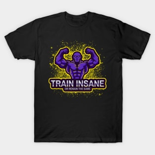 Train Insane or remain the same Gym T-Shirt